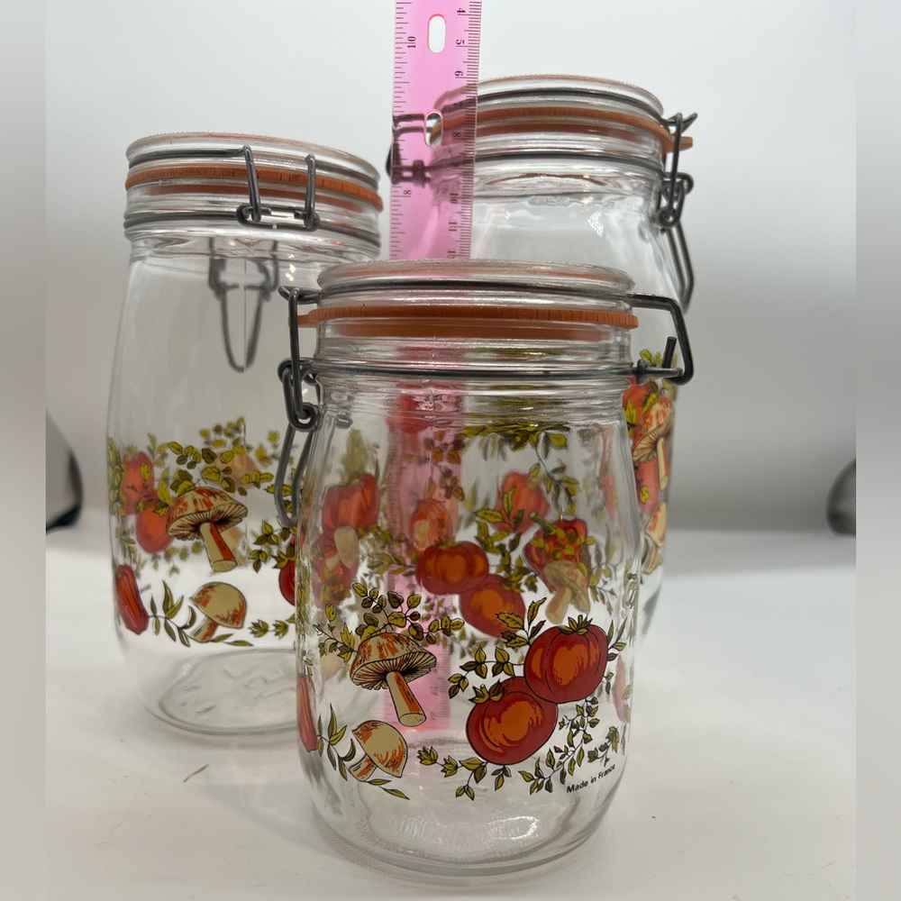 Spice of Life Canister jars set of 3 Metal Hinge 1950 arc France! 2L, 1.5L & 1L